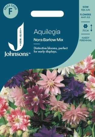 stjrnakleja-nora-barlow-mix-1