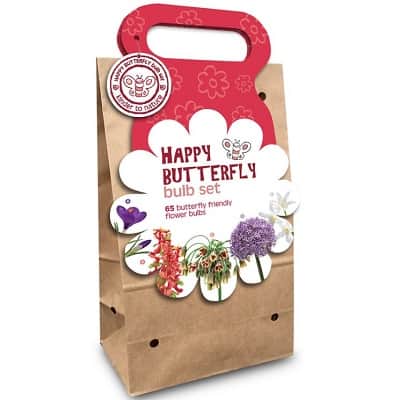 lkpaket-happy-butterfly-rd-mix-65st-1