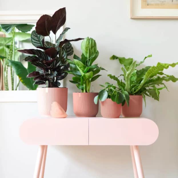 vibes-fold-round-ytterkruka-18cm---delicate-p-3