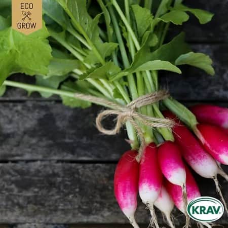 rdisa-french-breakfast-3-krav-mrkt-1