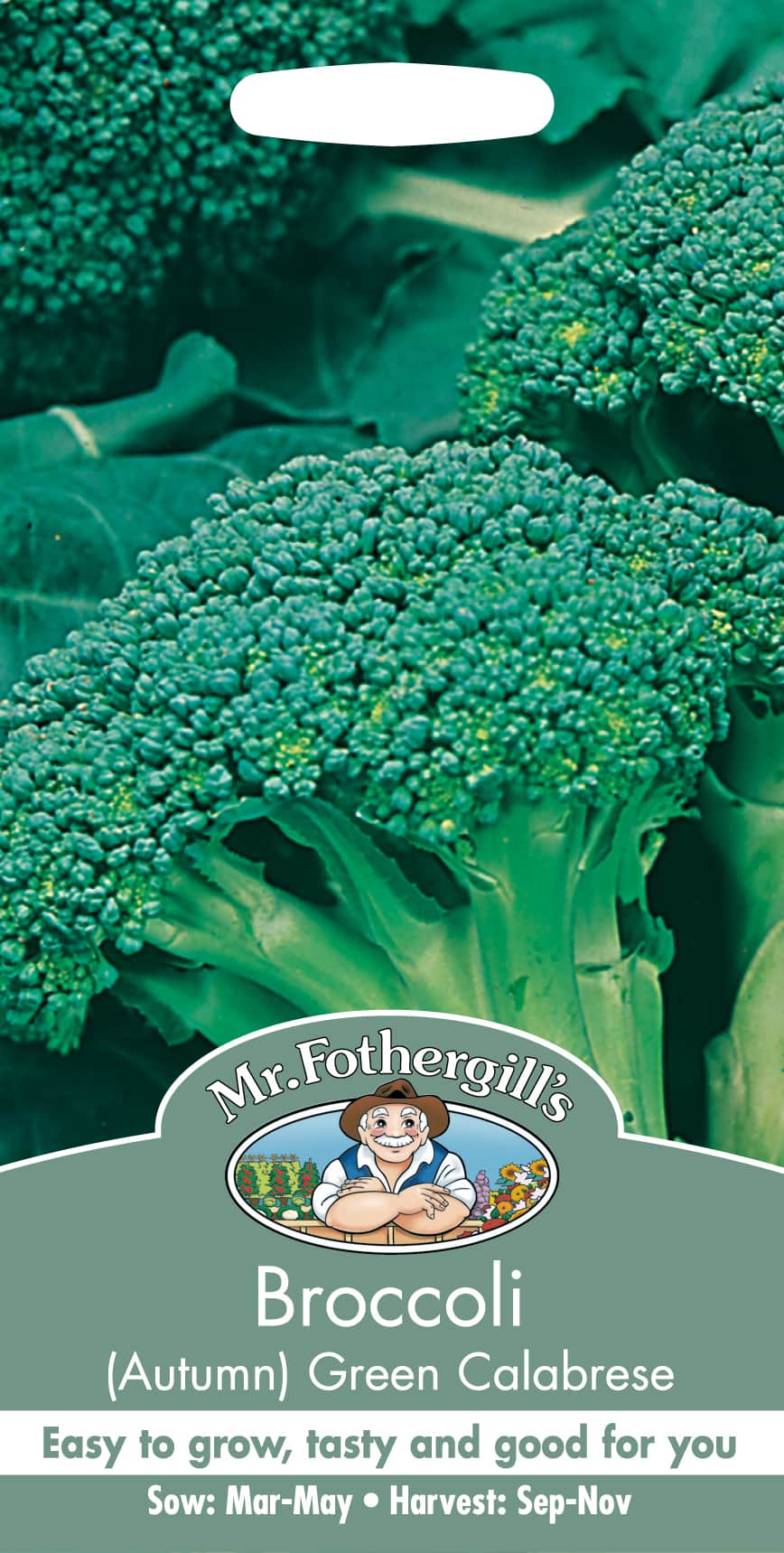 broccoli-green-calabrese-1