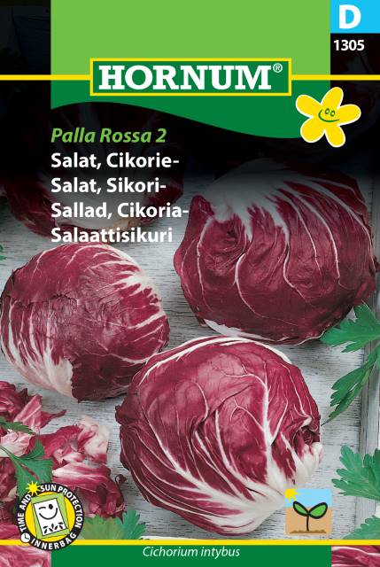 Salladscikoria ’Palla Rossa 2’, frö