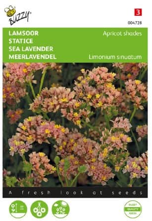 blrisp-apricot-shades-1