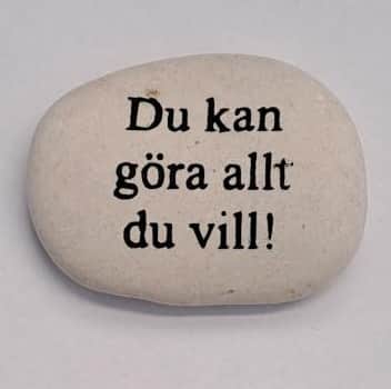 sten-du-kan-gra-allt-du-vill-1