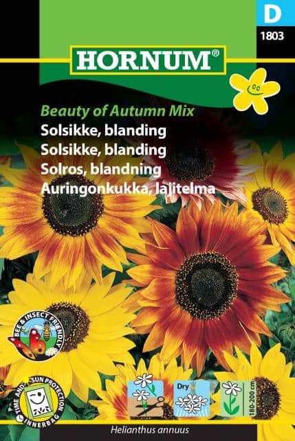 solros-mix-beauty-of-autumn-1