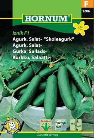 salladsgurka-iznik-f1-fr-1