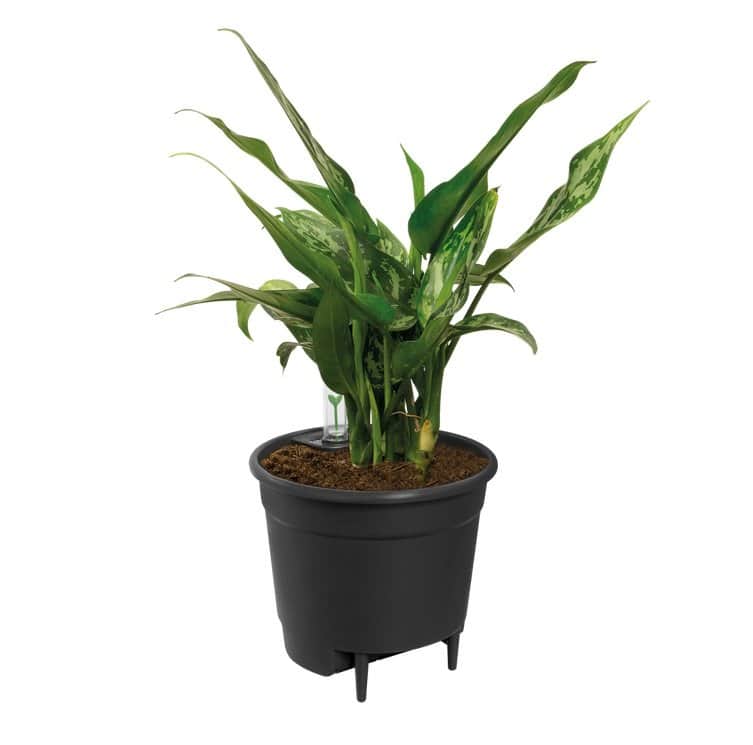 sjlvbevattning-insatskruka-44cm-3