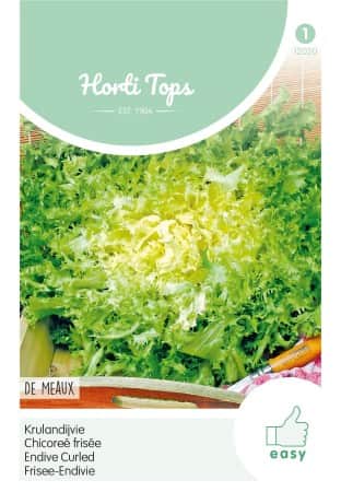 sydcikoria-curled-de-meaux-1