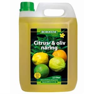 hornum-citrus--olivnring-25l-1