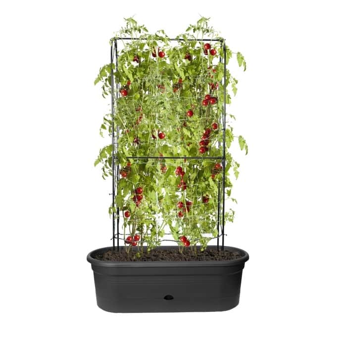 green-basic-odlningslda-veggie-wall-80cm-livi-1