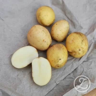 sttpotatis---rocket-1kg-1