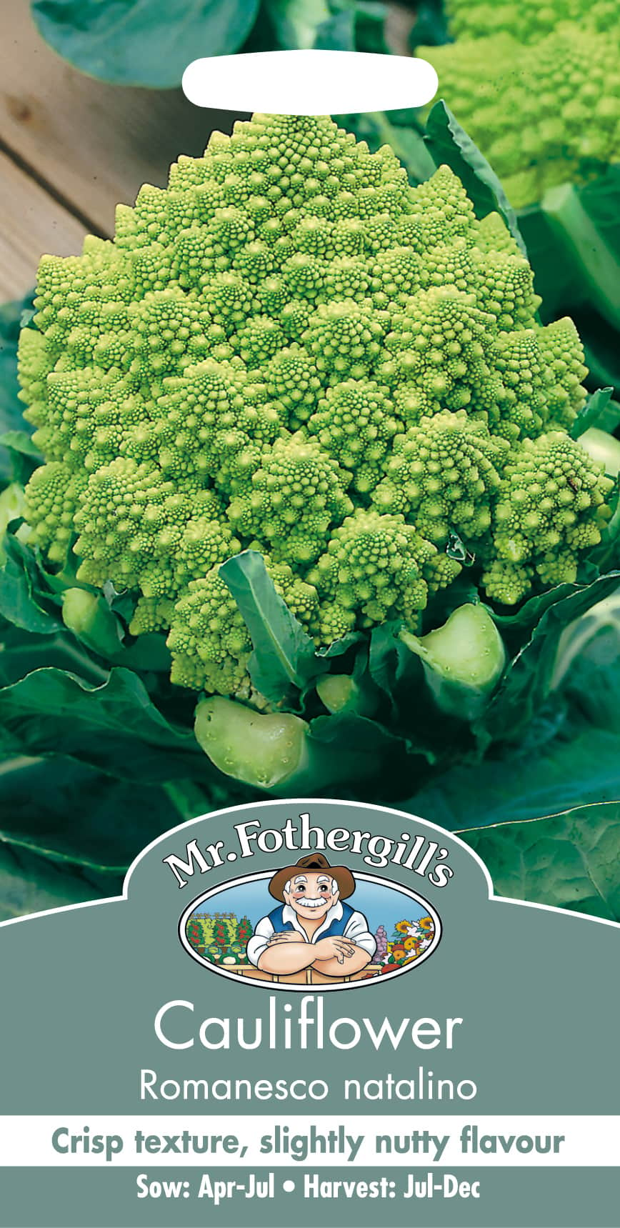 blomkl-romanesco-natalino-1