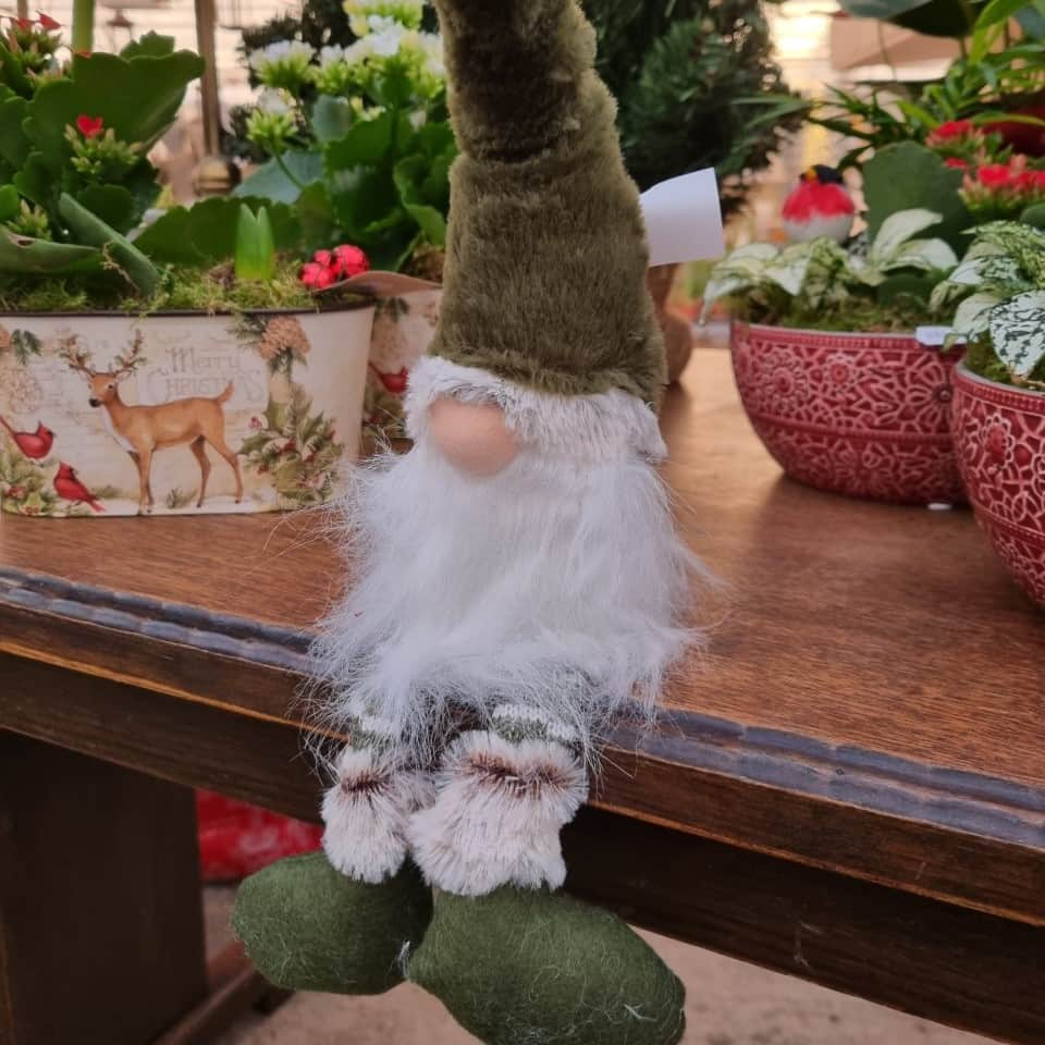 tomte-grn-11x42cm-1