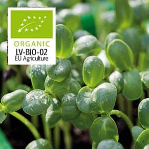 micro-leaf-solros-eko-2
