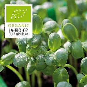 micro-leaf-solros-organic-2