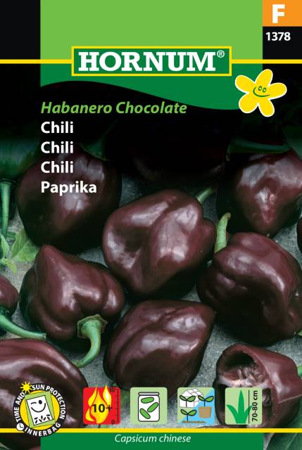 Chili ’Habanero Chocolate’, frö