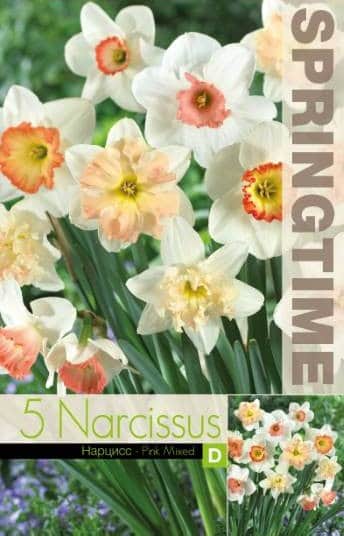 narcissmix-pink-mixed-5st-1