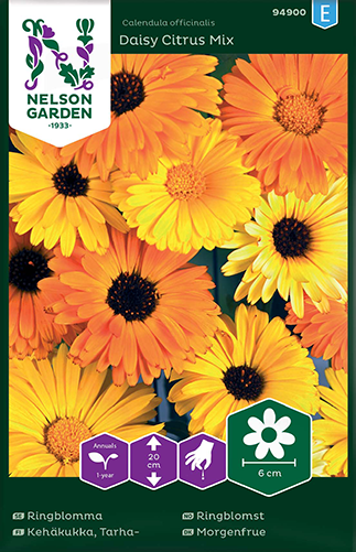 ringblomma-daisy-citrus-mix-fr-1