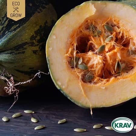 nakenfrpumpa-gleisdorfer-krav-mrkt-1