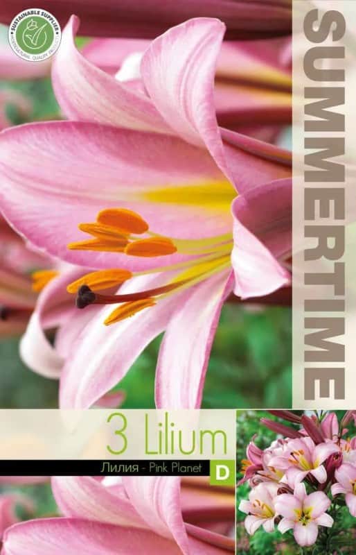 lilja-pink-planet-3st-1