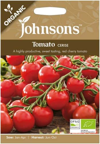 tomat-cerise-organic-1