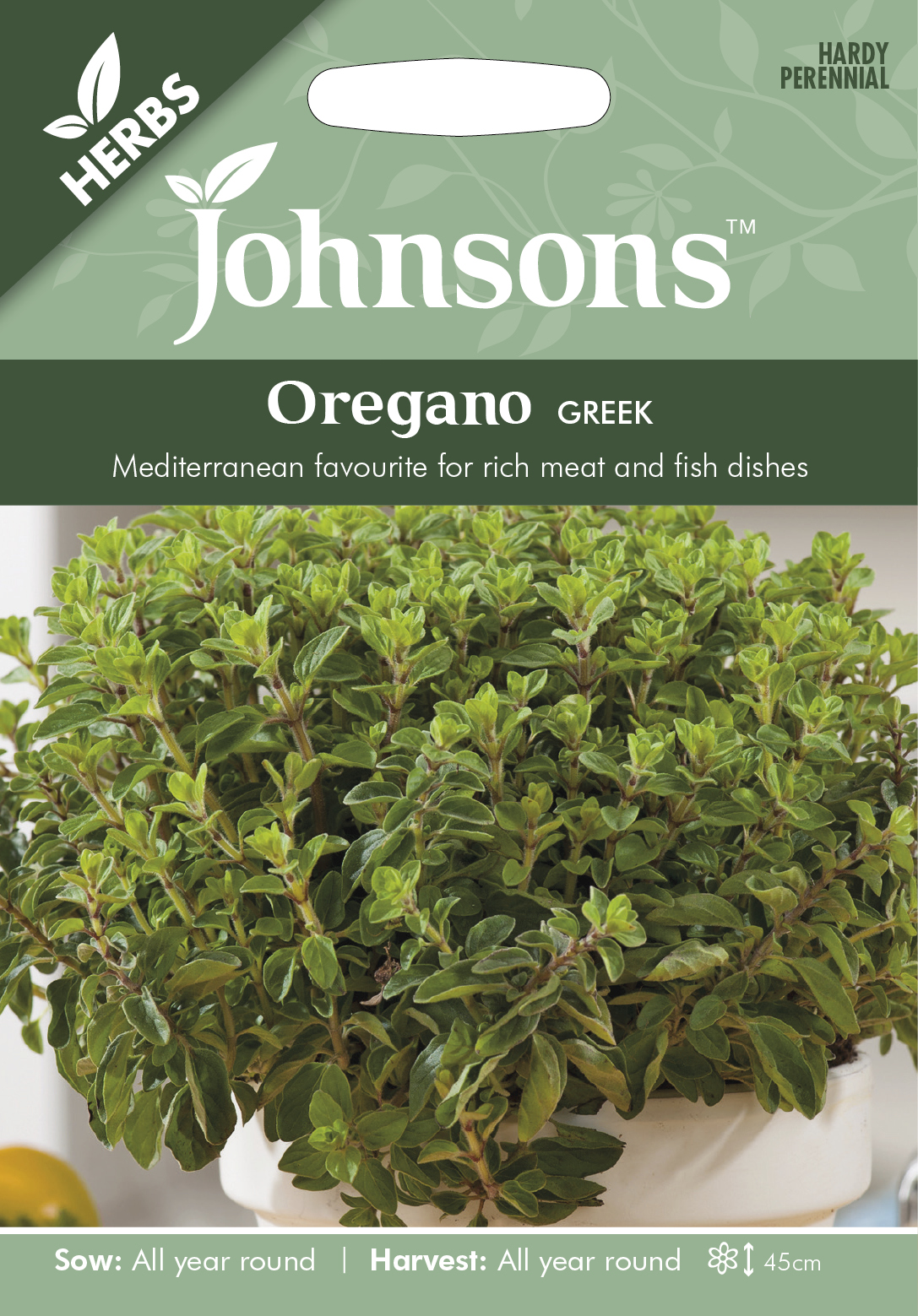 Grekisk Oregano frö