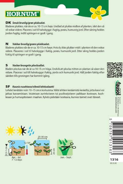 plocksallat-amerikanischer-brauner-2