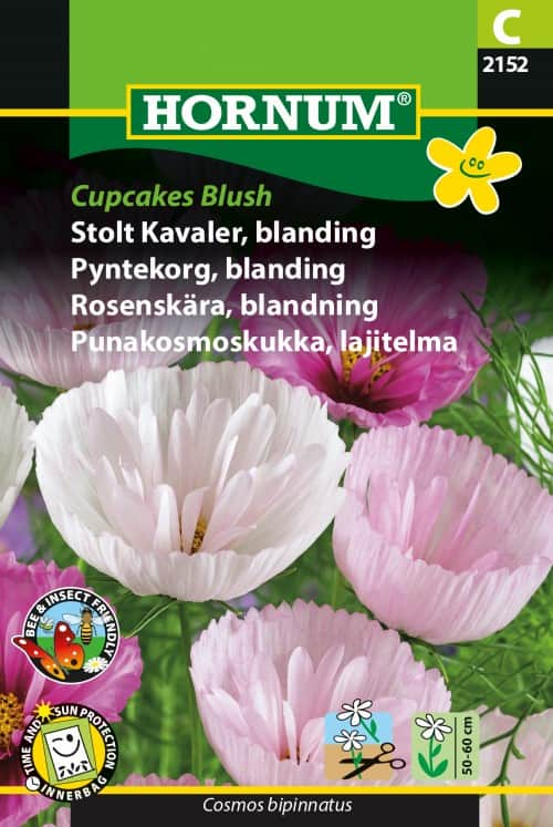 rosenskra-cupcake-blush-1