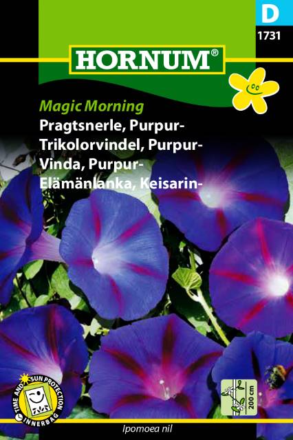 Purpurvinda ’Magic Morning’, frö