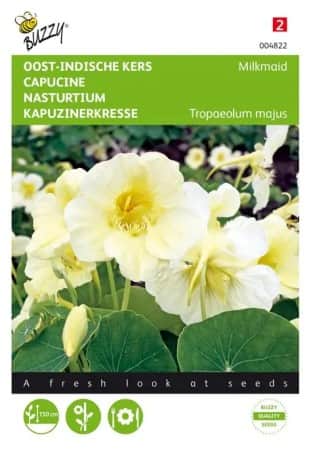 indiankrasse-milkmaid-1