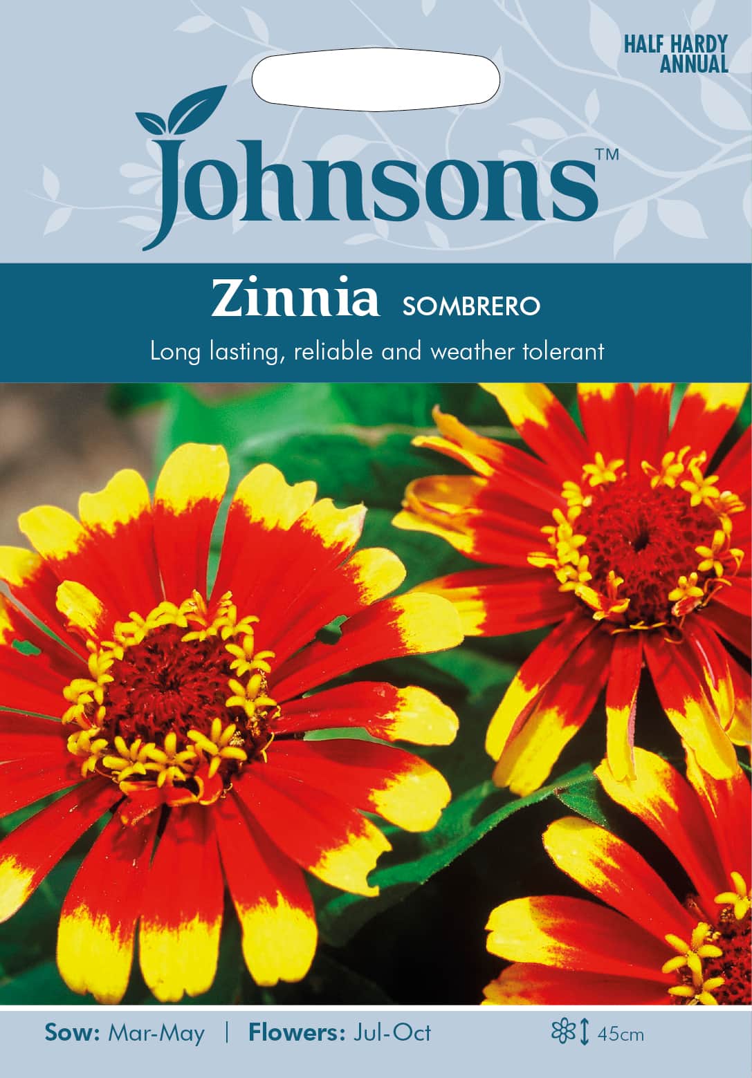 zinnia-sombrero-fr-1