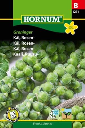 brysselkl-groninger-1