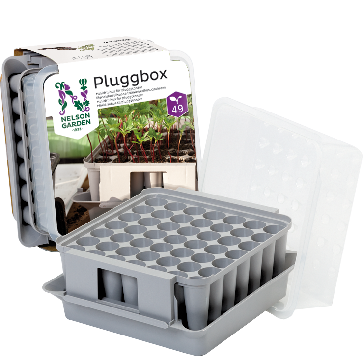 pluggbox-2