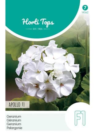 pelargon-apollo-f1-1