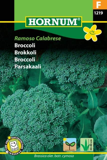 broccoli-ramoso-calabrese-f1-fr-1