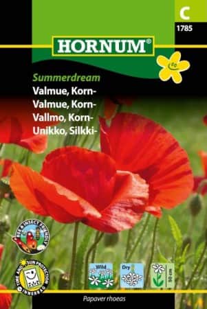 kornvallmo-summerdream-1