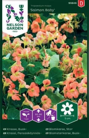 buskkrasse-salmon-baby-1