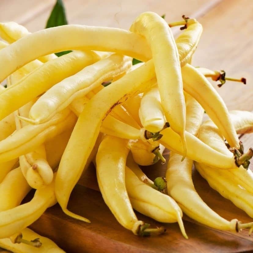 vaxbna-brittle-wax-1