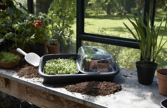 green-basics-grow-tray-saucer-m-living-black-2