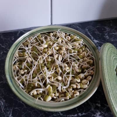 sproutly-mungbna-eko-190g-1