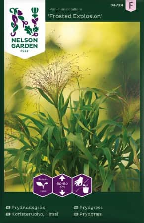 prydnadsgrs-frosted-explosion-1