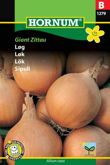 lk-giant-zittau-fr-1