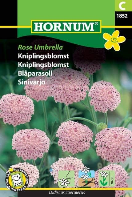 blparasoll-umbrella-rose-1