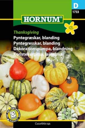 prydnadspumpa-mix-thanksgiving-1