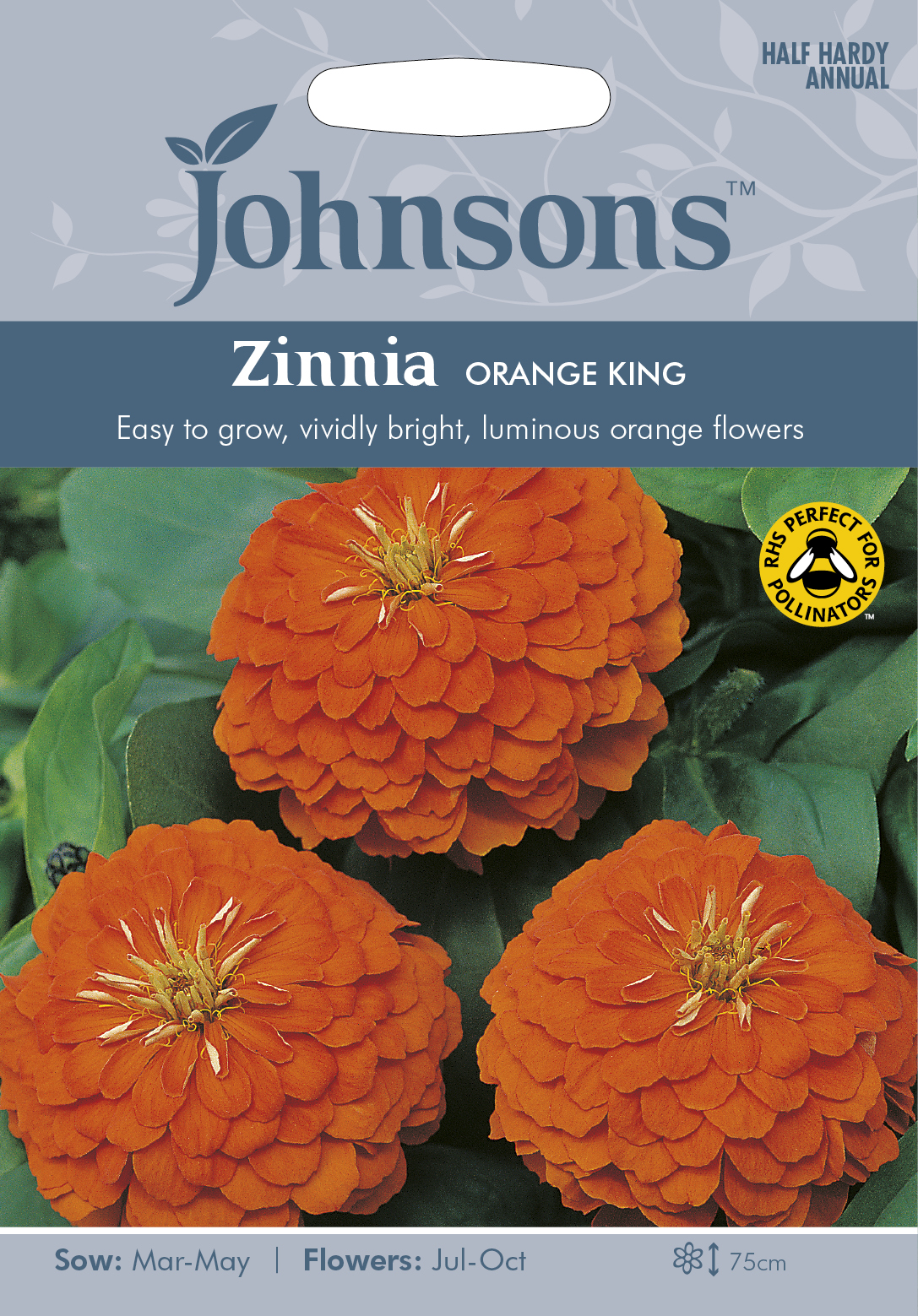 Zinnia ’Orange King’, frö