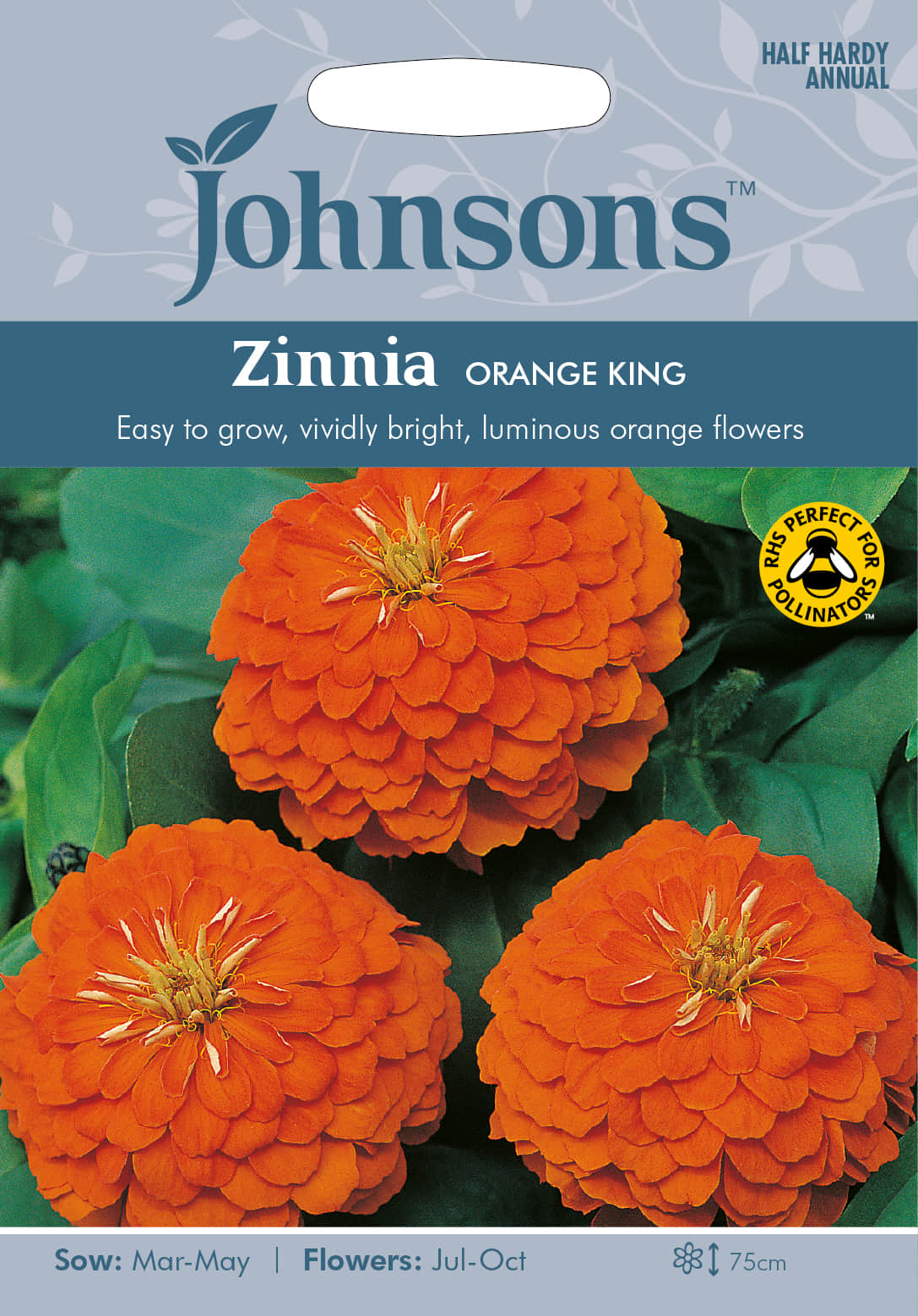 zinnia-orange-king-fr-1