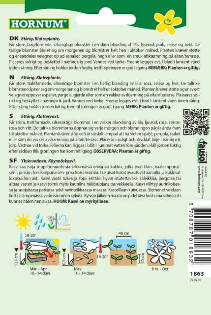 purpurvinda-mix-trumpet-dream-2