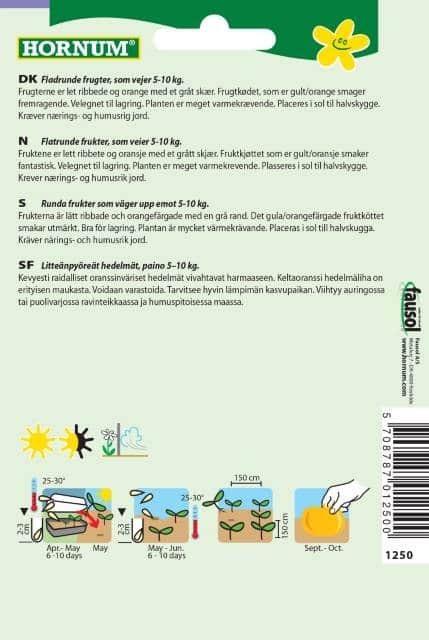 butternutpumpa-muscade-de-provence-2