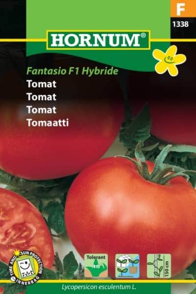 tomat-fantasio-f1-1