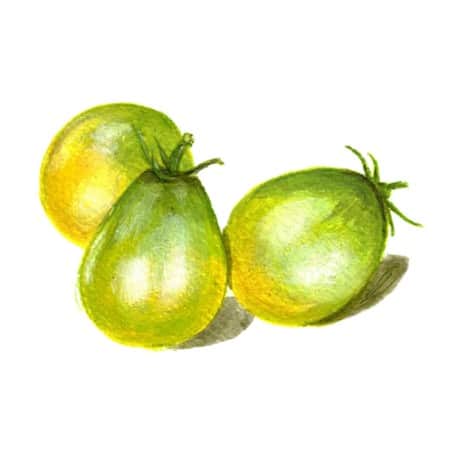 dwarftomat-grinch-cherry-1